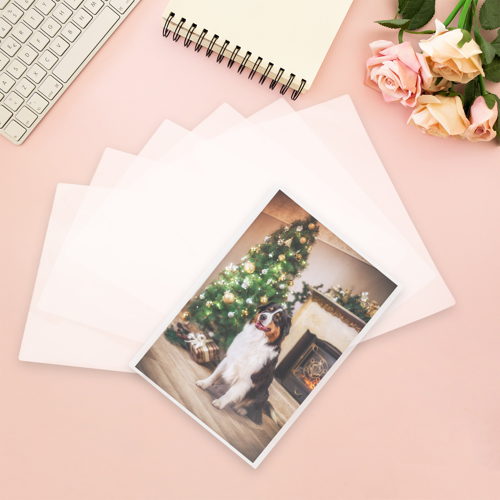 100개 투명 라미네이팅 파우치 (사진, 문서, 파일용 - Document Laminator Pouch 리뷰 및 가격